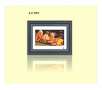 Sungale 8" Digital Photo Frame