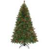6.5' Aster Pine Tree w/ 450 Lights