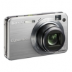 SONY DSC-W170 Cyber-shot Digital Camera - Silver