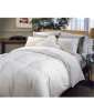 Naples 700 Thread Count Down Alternative Comforter