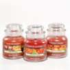Three Spiced Pumpkin, Fall Festival & Autumn Leaves Small Jar Boxed Gift Sets