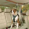 Zip Line Dog Car Harnesses