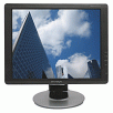 Envision G195 19-inch LCD Monitor, Black