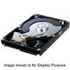 SAMSUNG EcoGreen F2 HD103SI 1TB SATA 3.0 5400 RPM 32MB Buffer Hard Drive