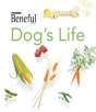 Free Sample of Beneful Dog