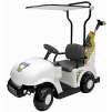 Jr Pro 6-volt Golf Cart