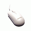 Lenovo Mini Optical Mouse S10B - White