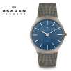 Skagen Denmark 694XLTTN Titanium Collection Blue Dial Mesh Bracelet Mens Watch