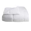 Essential Home Down Comforter