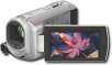 Sony - Flash Memory Handycam Camcorder with 2.7" Color LCD - Silver 