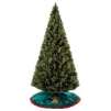 Home Accents Holiday 6-1/2 Ft. Pre-Lit Aster Pine Tree with 450 Clear Lights 