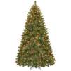 Home Accents Holiday 7-1/2 Ft. Pre-Lit Wesley Pine with 700 Clear Lights 