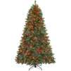 Home Accents Holiday 7-1/2 Ft. Pre-Lit Wesley Pine with 700 Multi-Color Lights 