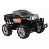 Fast Lane 1:16 Scale Radio Control - Ford F-150