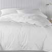 3-Star White Down Full/Qn Comforter