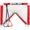 Lacrosse Mini Goal Set