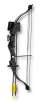 Bear Archery Brave 2 Youth Compound Bow Set