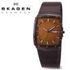 Skagen Denmark 396LTMD Titanium Collection Solid Brown IP Titanium Case Mesh Strap Mens Watch