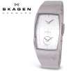 Skagen Denmark 281LSS Steel Collection Dual Time Chrome Dial Stainless Mesh Bracelet Mens Watch