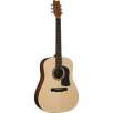 Washburn D6S Solid Top Acoustic Dreadnought Guitar - Natural