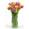 Mixed Tulips Bouquet