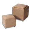 Large Storage Ottoman with Bonus Ottoman