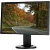 NEC MultiSync 22" Widescreen LCD Display - E222W-BK