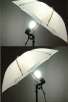 Professional Studio Continuous Lighting Umbrella Kit - 2Set For $79.99 or Less With Google Checkout