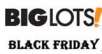 Big Lots Black Friday 2010 Ads Posted
