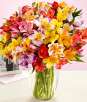 100 Blooms of Peruvian Lilies w/ Vase for $16.99, 12+12 Red Roses w/ Vase for $25.49