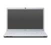 Sony VAIO EB42FX/WI Series Notebook PC: 15.5", Core i3-380M 2.53GHz, 4GB RAM, 500GB HDD, Windows 7 Premium