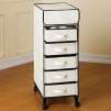 5-Drawer Rolling Chest