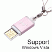 PQI i810 mini I-Stick 1GB USB 2.0 Flash Drive, Pink