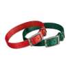 Nylon Web Buckle Collar