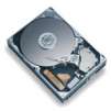 Maxtor 300GB Ultra ATA/100 Internal Hard Drive, 7200 RPM + Free DVD Player
