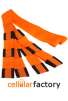 Lifting and Moving Straps (Orange)