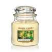 Yankee Candle: 3 Medium Jar Candles (Assorted Fragrance) for $15