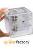 Transparent Labyrinth Game Money Box (Random Color)
