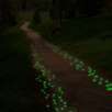 100 Glow in the Dark Pebbles for Walkways and Decor