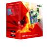 AMD A4-Series AD3300OJGXBOX Dual-Core A4-3300 APU