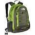 The North Face Jester Backpack (Scottish Moss Green)
