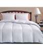 Hungarian 600 Thread Count Goose Down Comforter