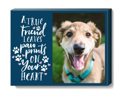 CVS Photo: 11" x 14" Custom Canvas Print (Unframed)