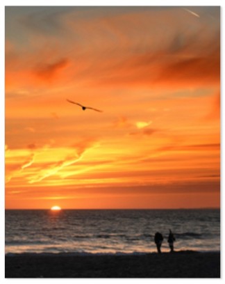 CVS Photo: $5 16x20 Repositionable Posters